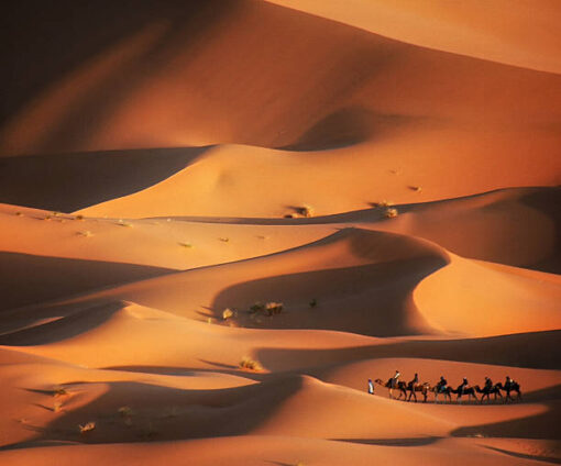 reves de sables
